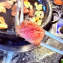 치커리생구이 | [식당/강원] 속초 소고기 맛집, 치커리생구이 속초점 후기