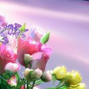 종점세탁소 이미지