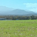 동진목장 이미지