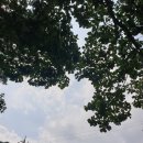 한송공인중개사사무소 이미지