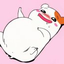 막썰어 세꼬시회 이미지