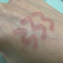 로즈벨벳 | 💄클리오 벨벳 립펜슬: 09 모카 로즈 후기 오버립 필수템
