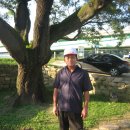 지보중학교 이미지