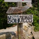 웅이민박 이미지