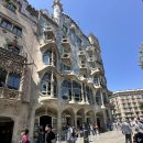 드락 | 가우디투어 반일or전일 선택가능, 신혼여행 할인 까사바뜨요,까사밀라,구엘공원