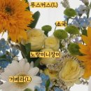 플로랄데이즈 이미지