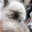 영웅아트 이미지
