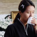 풀잎사랑화원 - 고양시 덕양구 행신로 31 | 풀잎사랑화원