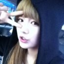 브이에이그룹