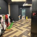 모모프렌즈스크린