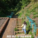하소생활체육공원 이미지