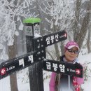 경남거창 삼봉산(1,255m).....2016/3/22 이미지