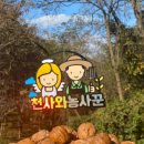 호두대장 이미지