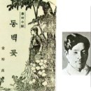 김유정문학마을 | 동백꽃 산다화 선물 감상과 비료 주기.김유정 동백꽃 소설 이야기와 동백꽃 여행지·명소 완벽정리!