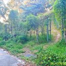 월평동산성 이미지