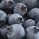 조현덕농장 이미지