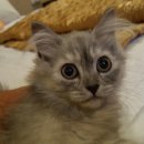 이박사동물병원 이미지