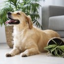 역사헬스 이미지