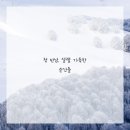 독스캣 강아지고양이 수원점 이미지