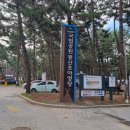 몽산포자동차야영장 이미지