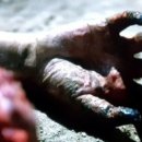 진성여관 이미지