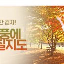 강릉원주대학교박물관 이미지