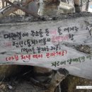 자선목장 이미지