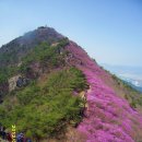 4월13일[100대명산] 여수 영취산(510 m)(진달래꽃축제) 이미지
