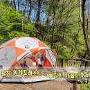 평창돔 | 5월캠핑후기 강원도 평창 휘게포레스트 :: 슬링핀 카힐트나돔