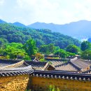 소거문마을회관 | 성주, 영취산 - 감응사 - 한개민속마을 원점