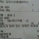 [바자] 신한은행 입출금내역 (14년 8월 1일 - 14년 8월 31일) 이미지