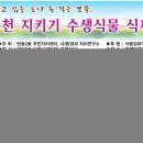 운봉천 이미지