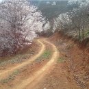 섭이농장 이미지