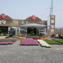 식물병원초록에서