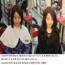 붙임머리 이미지