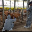 병건농장 이미지