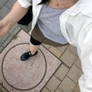 진우세탁 | [7월] 도대체 내 컴퓨터 어떻게 한 거야 파일이 없어 도리토스 먹고 진정하자 진정하자 넌 이제 딱 죽은...