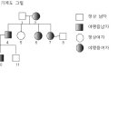 손사막과 야맹증과 무좀야화 이미지