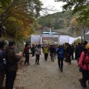회남재 숲길 | 2016 가을여행주간 맞이 회남재숲 걷기 후기