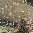 2025 차 빼세요~^^ 늦은 12월 기록🎄