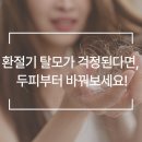 웰킨 두피 탈모 센터 이미지