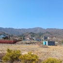부용사주차장 Daum카페