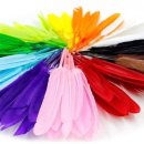 공이18-1 이미지