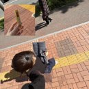 경기도 수원시 팔달구 아주로27번길 이미지