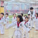 용인대 무궁화 태권도장 이미지