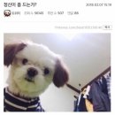 려기