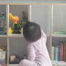 바이퍼니 2단 책장 교구장 4년 내돈내산 후기, 유아책장으로 오래 쓰는 이유