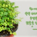 깔딱요기 이미지