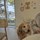 무병짱수 이미지