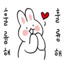 아임독애견샵 이미지